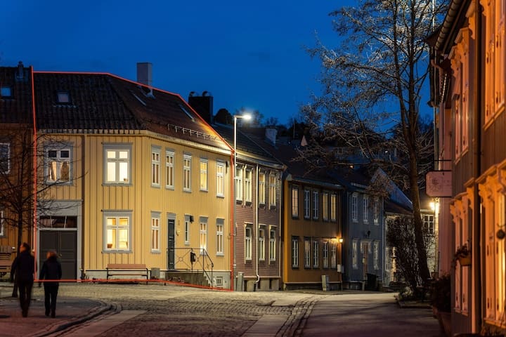 特隆赫姆(Trondheim)的民宿
