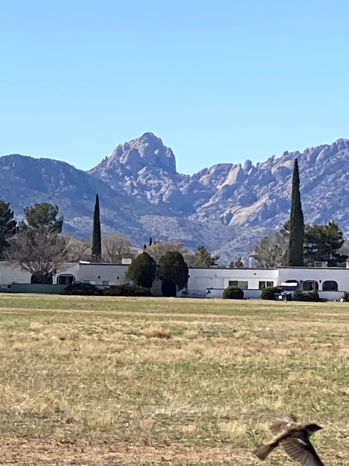 The Overlook at Chiricahua National