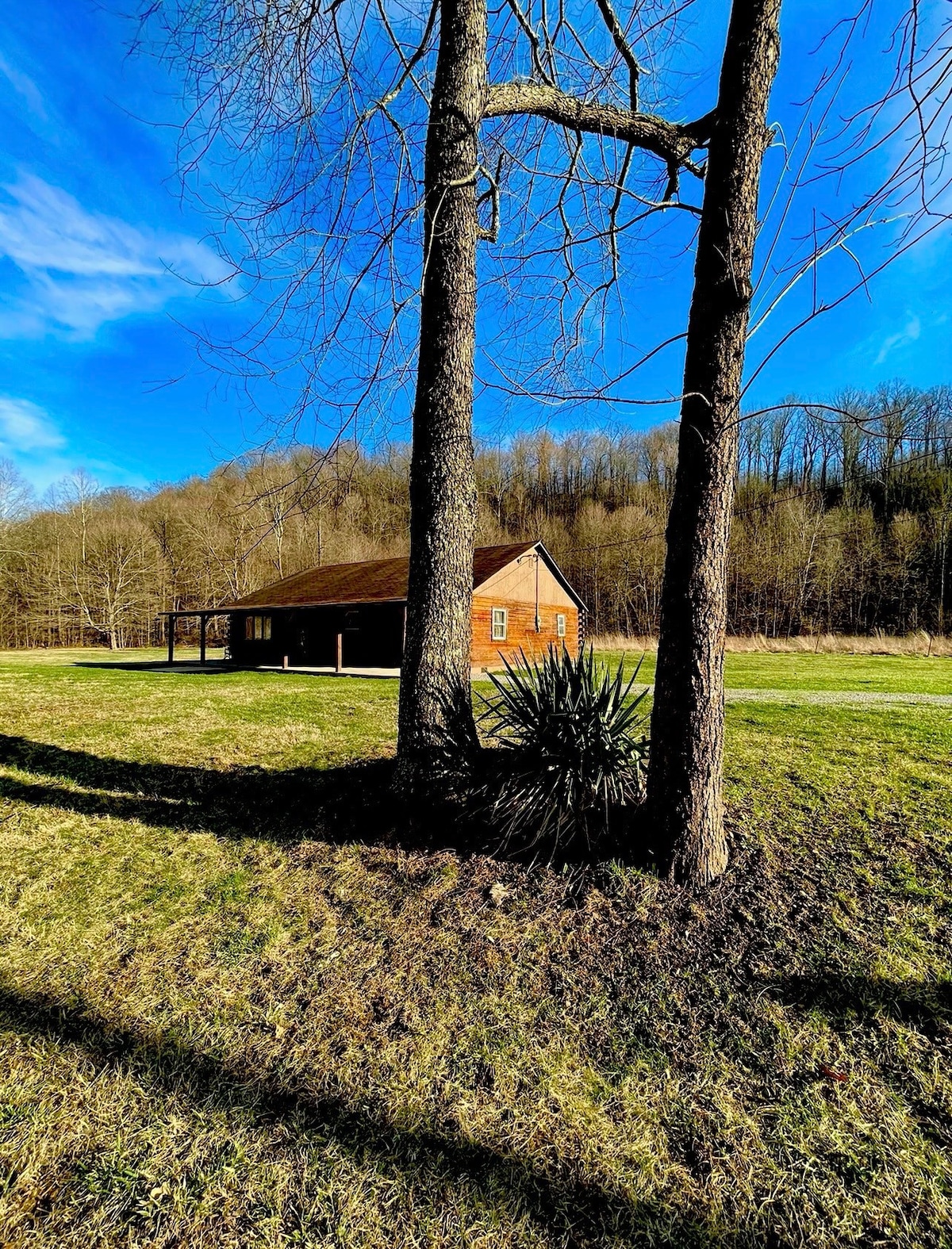 Cozy Cabin •Hot Tub •Shawnee State Park/Forest