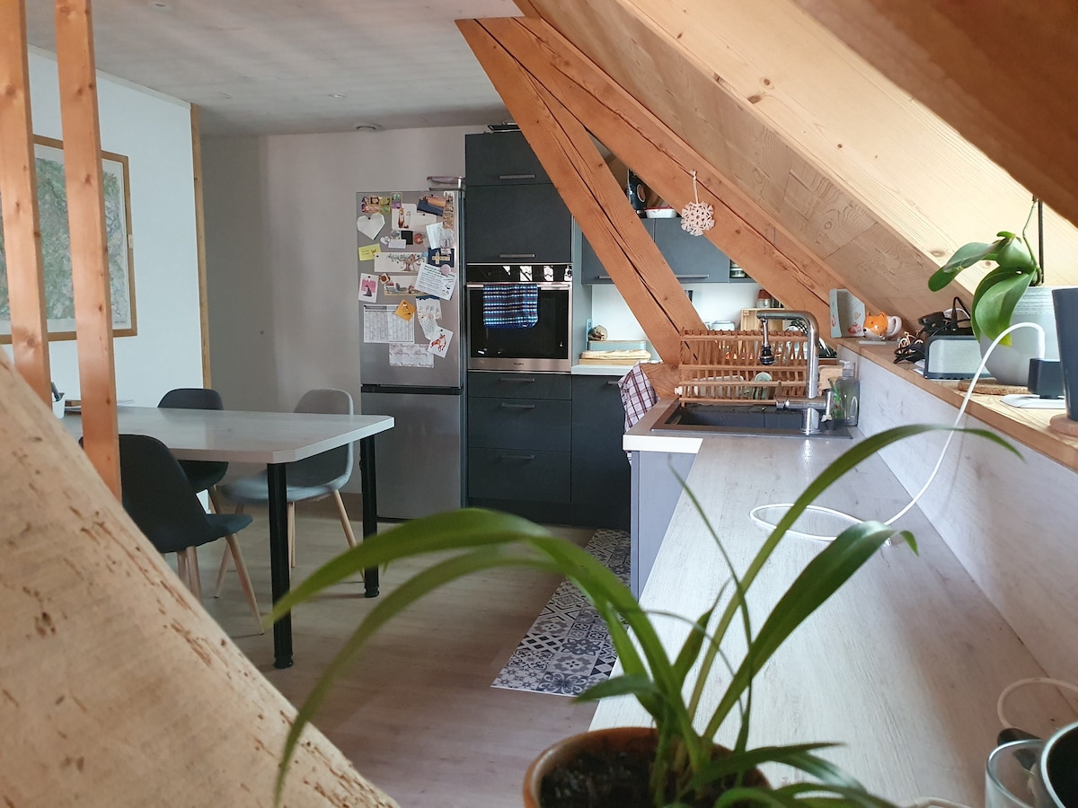 Le cocon en bois sous les toits. Annecy/Bauges