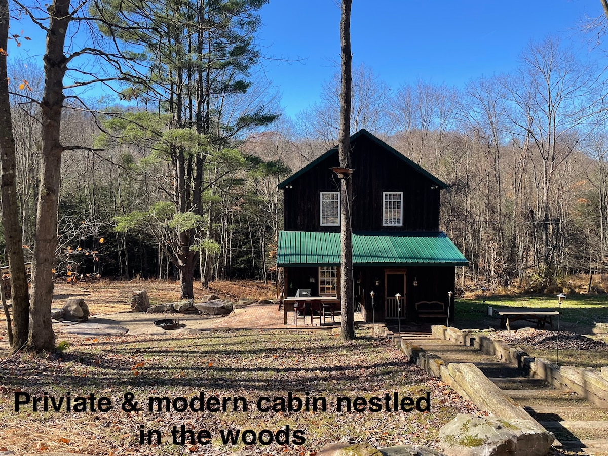 Modern cabin family hide-a-way