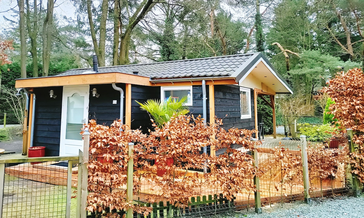 Verblijf in Chalet Skarven, omringd door de natuur