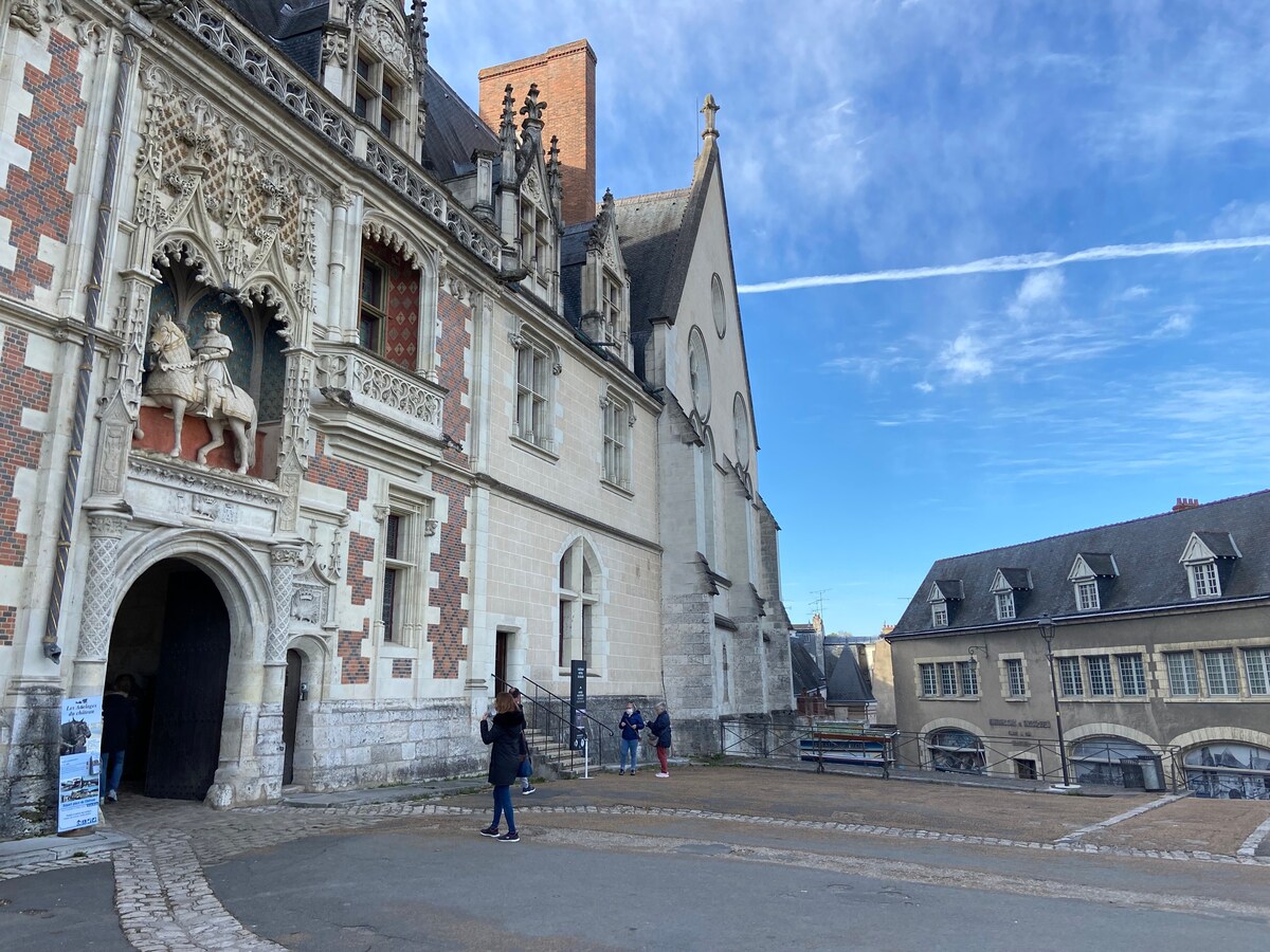 Les Suites de Blois, 4&5 étoiles, vue château