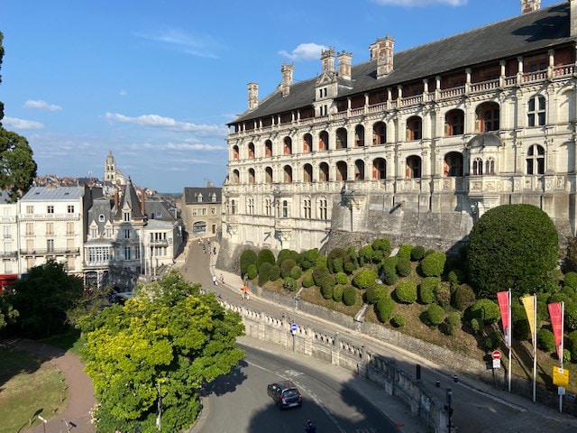 Les Suites de Blois, 4&5 étoiles, vue château
