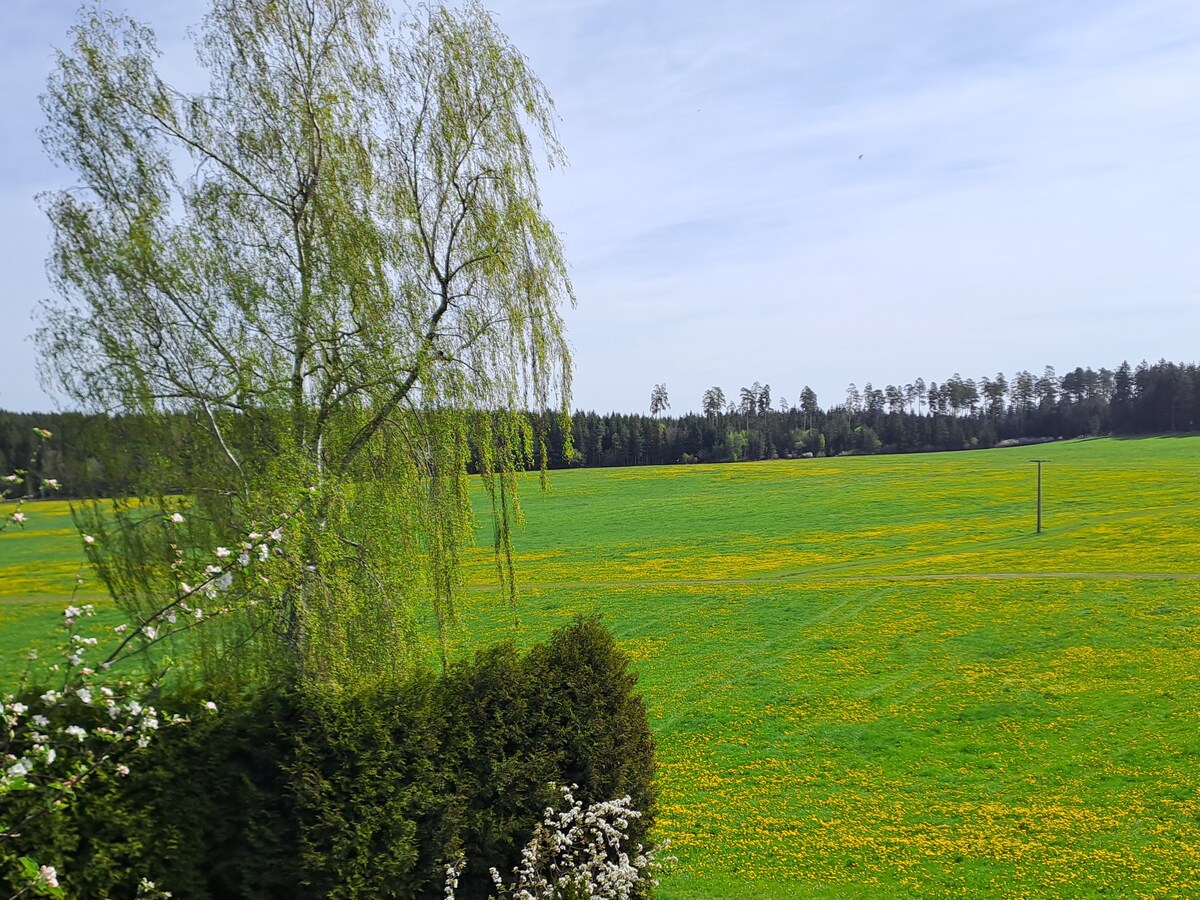 Ferienwohnung  Anna im schwarzwald