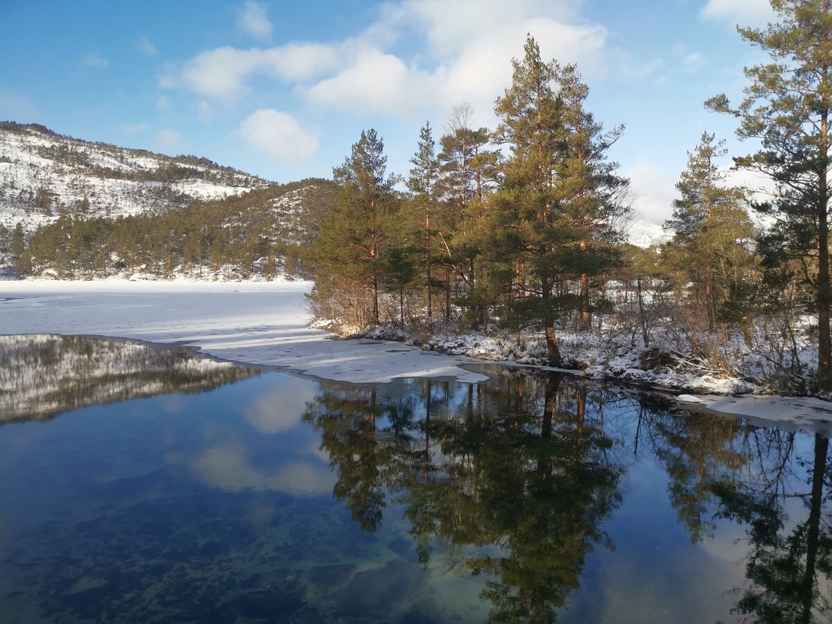 House in beautiful nature