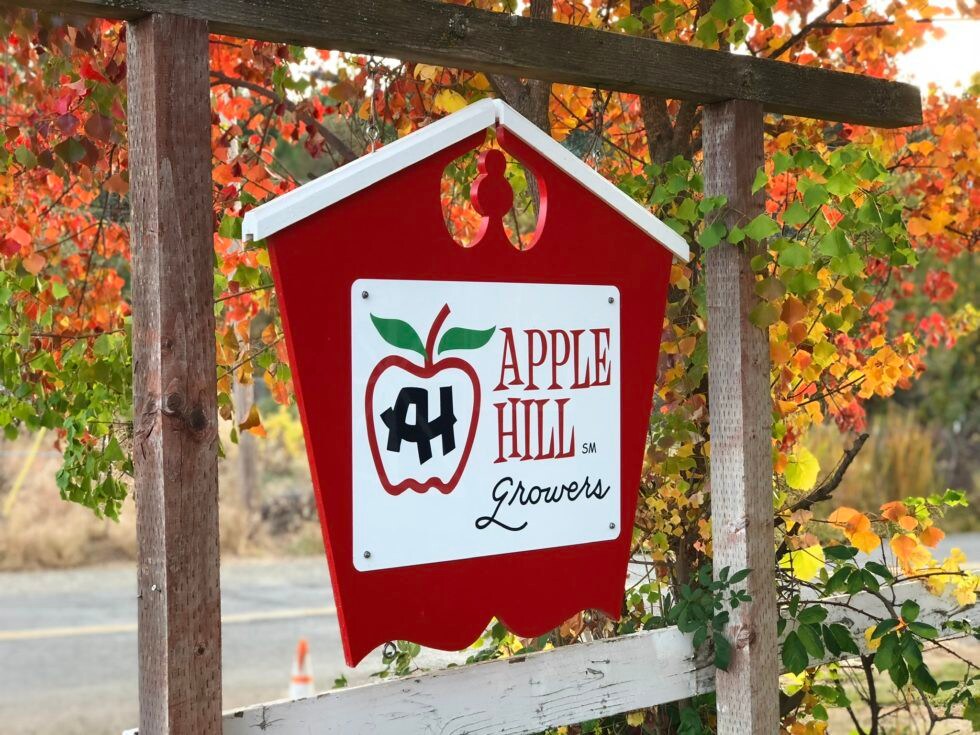 Apple Hill Cabin