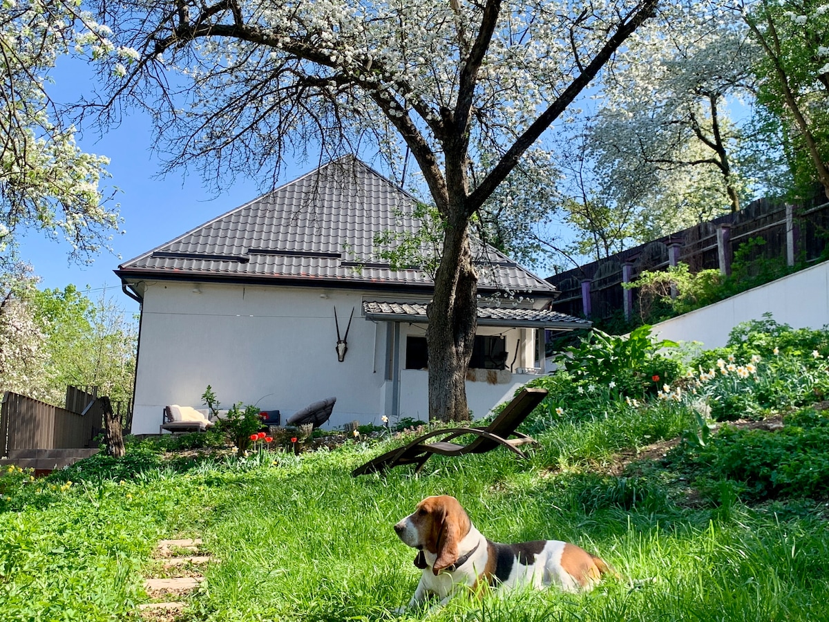 In Center: Romantic Hideaway with lush garden