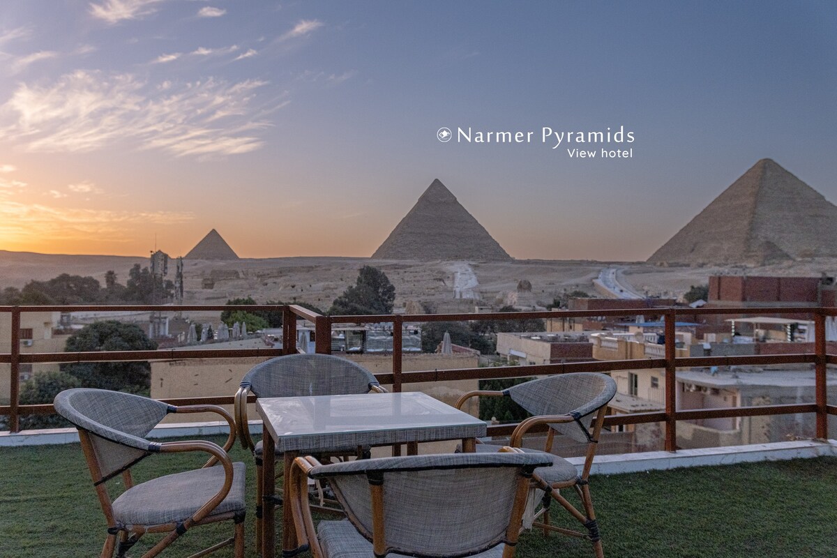 Narmer pyramids view 203