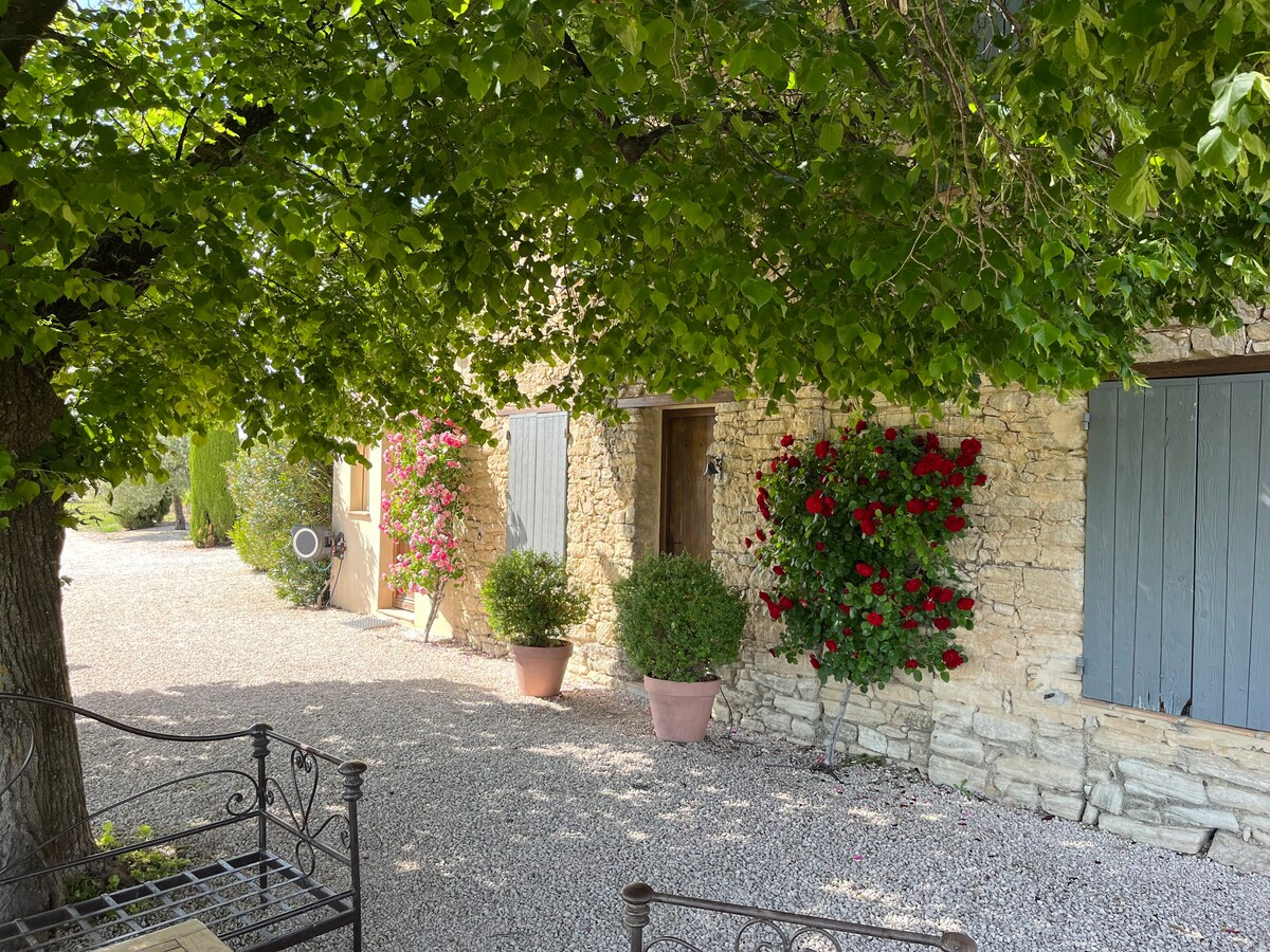 Mas “Ventoux et Vignes” 6 adults + 3 children