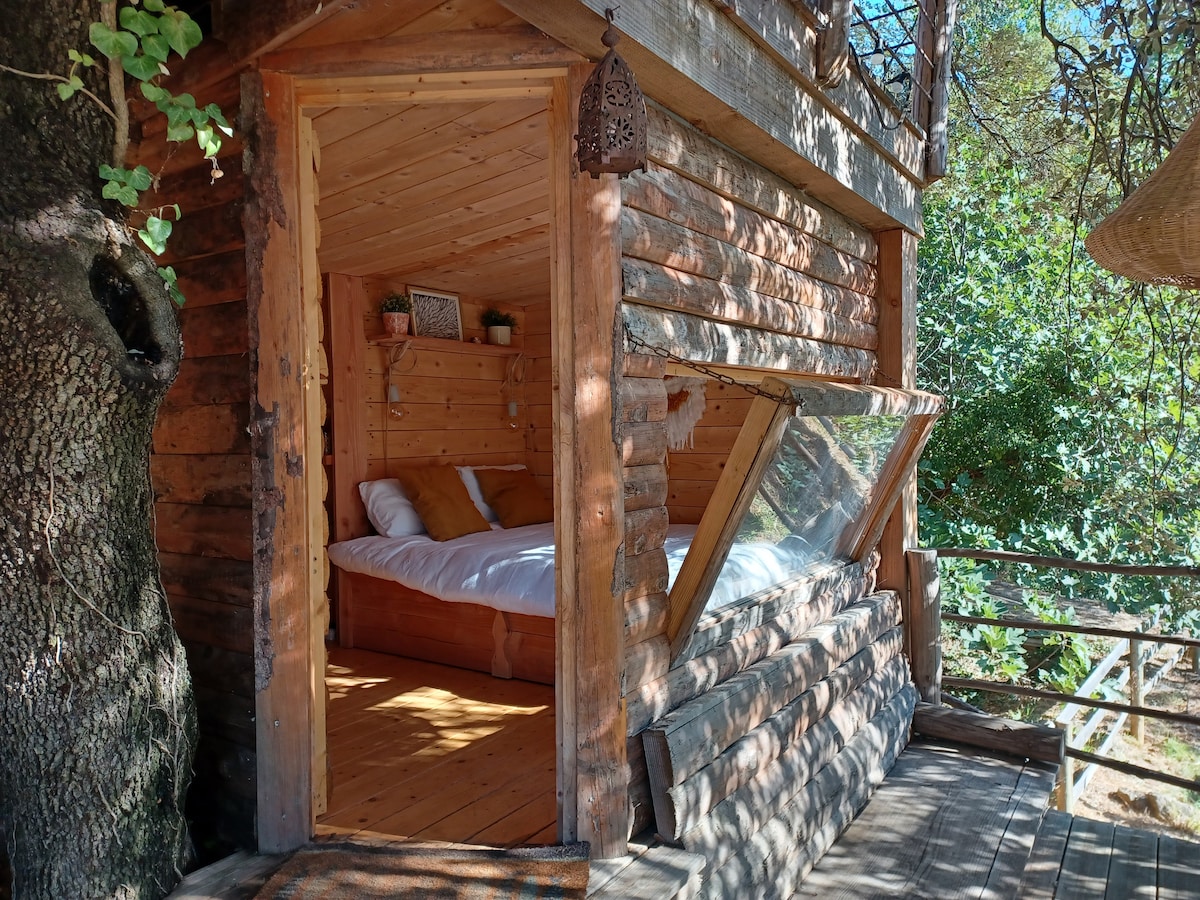 Brescou Lodge Cabane Insolite Nid Douillet Piscine