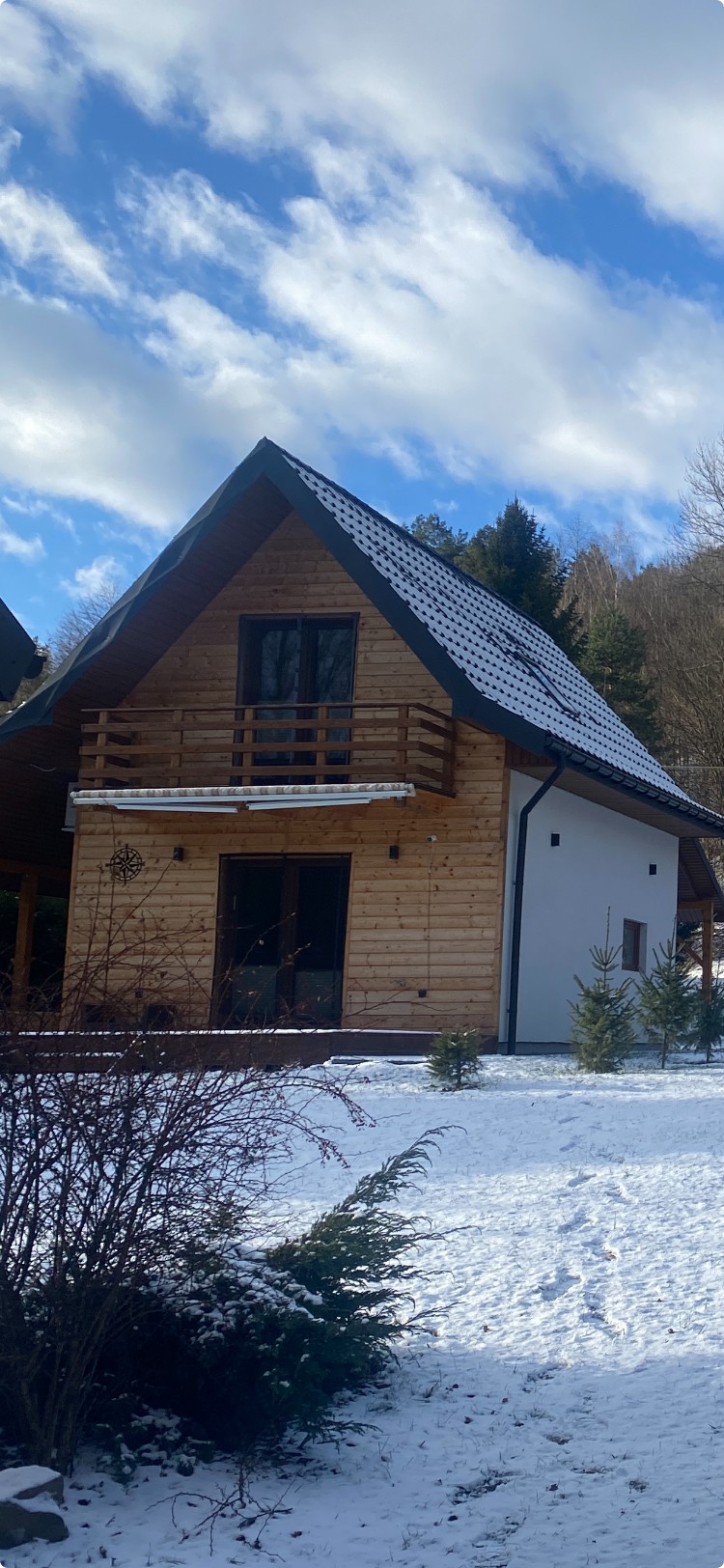 Bieszczady Dom Nad rzeczką opodal krzaczka