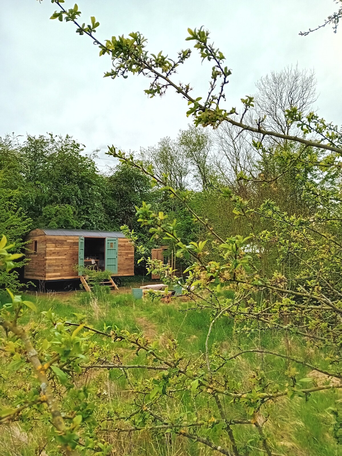 Stunning shepherd's hut set in a private field.