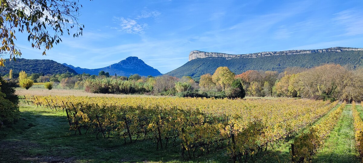 Vacances de rêve au pied du Pic Saint Loup