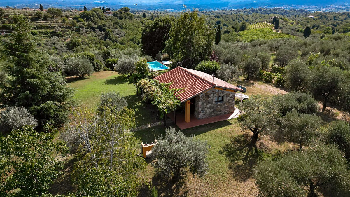 Monolocale con piscina nel verde toscano