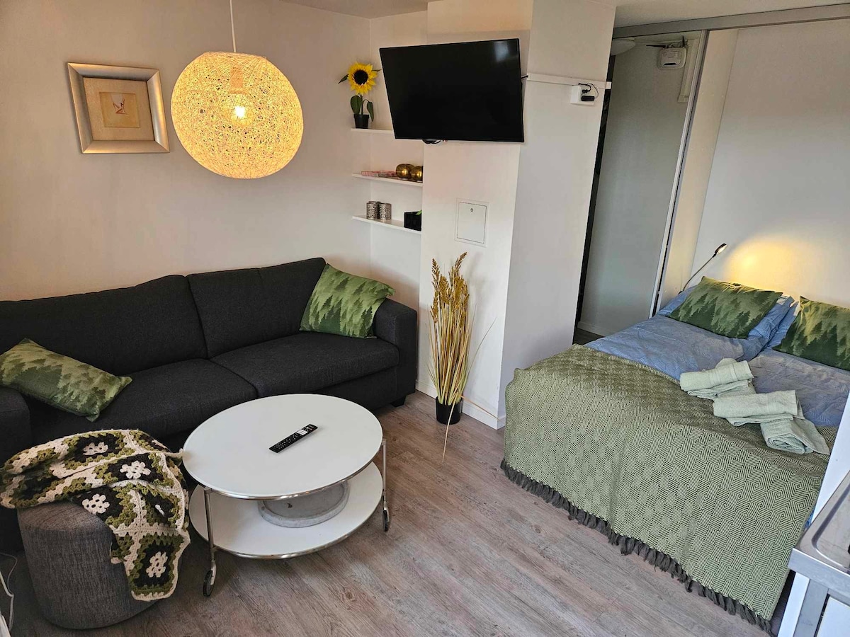 明亮漂亮的单间公寓，位于
奥勒松（ Ålesund ）。
M停车场。