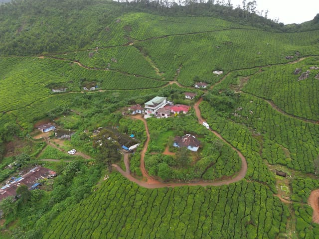 慕那尔(Munnar)的民宿