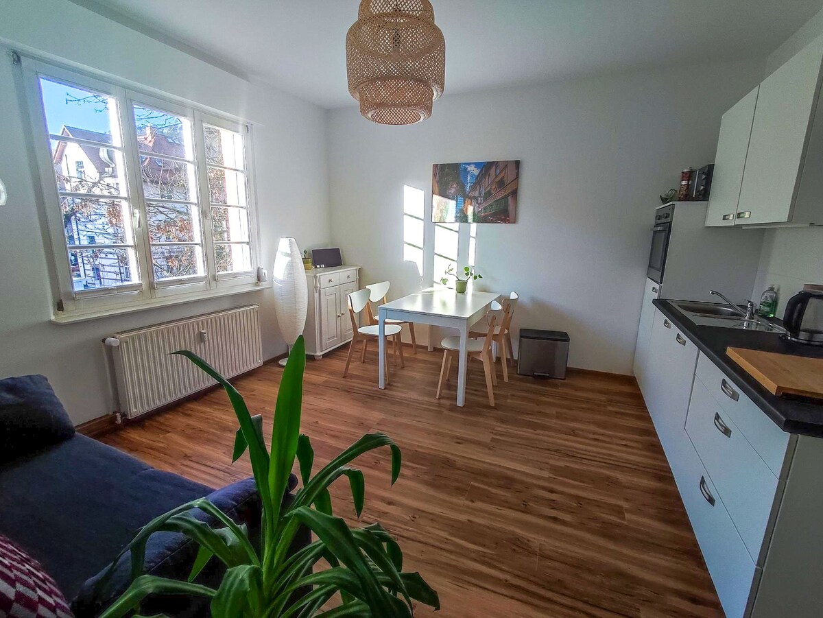 Cozy Appartment in Jena-West