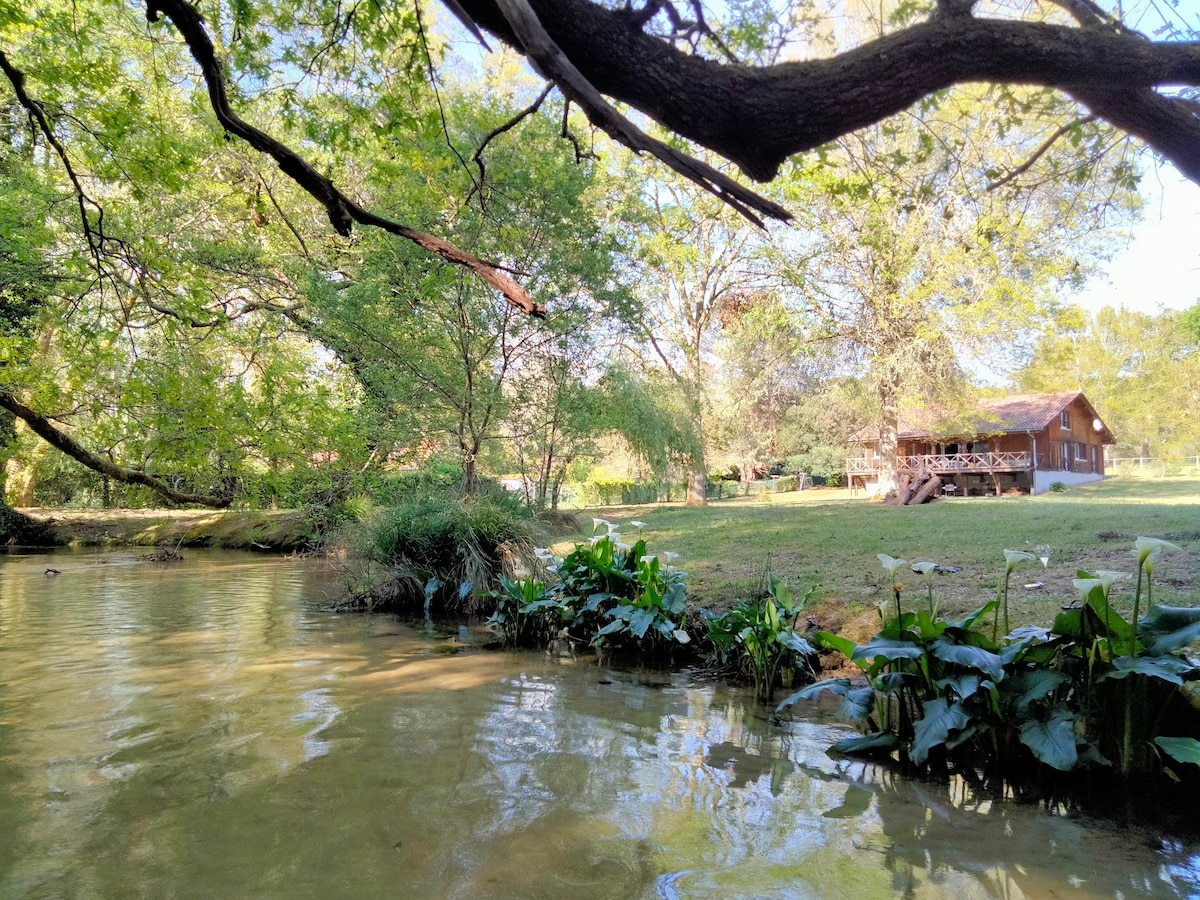 House by a stream