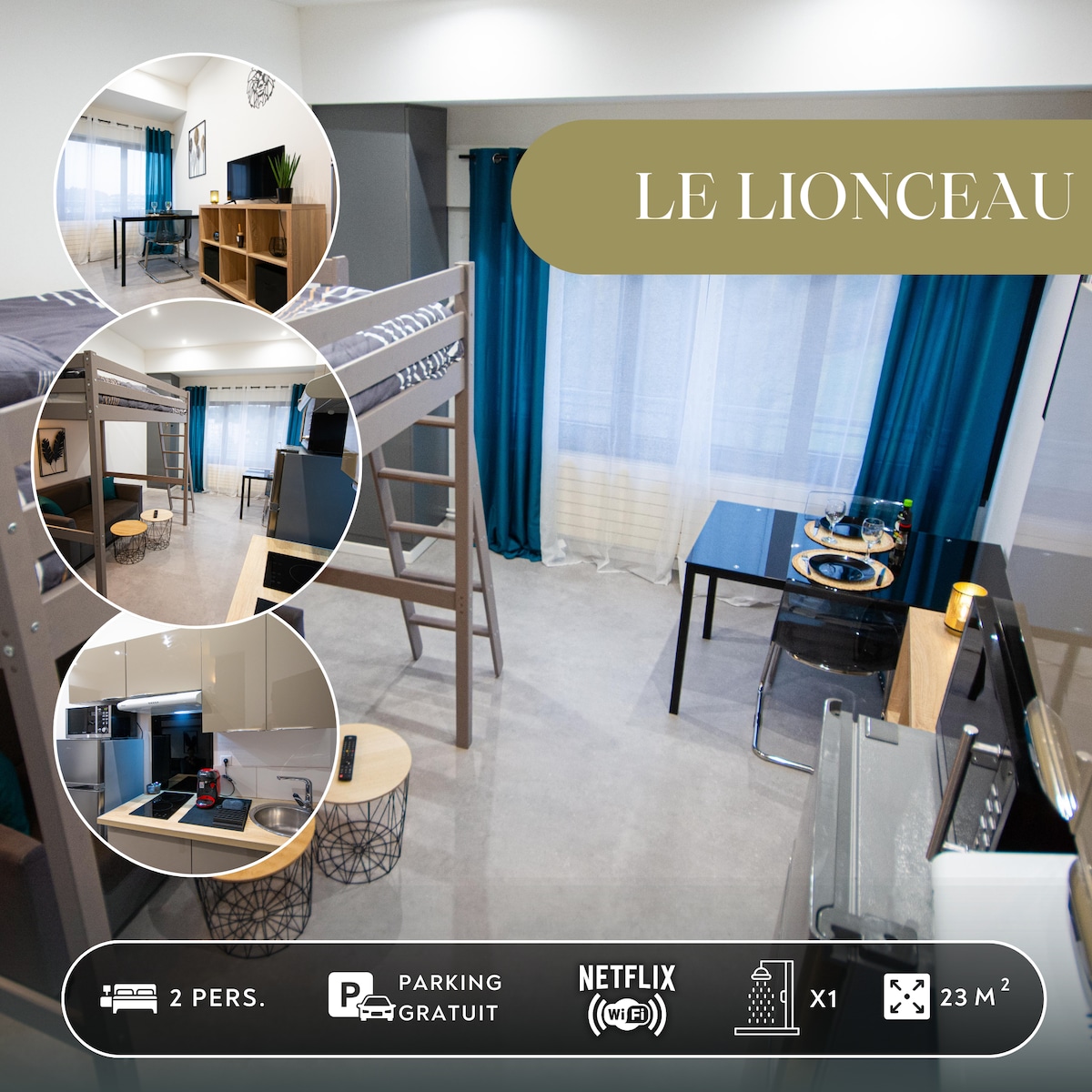 Le Lionceau, Near town, Fiber-Netflix, Parking