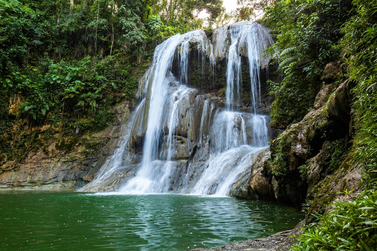 Rainforest Retreat~Central for Island Adventures!~