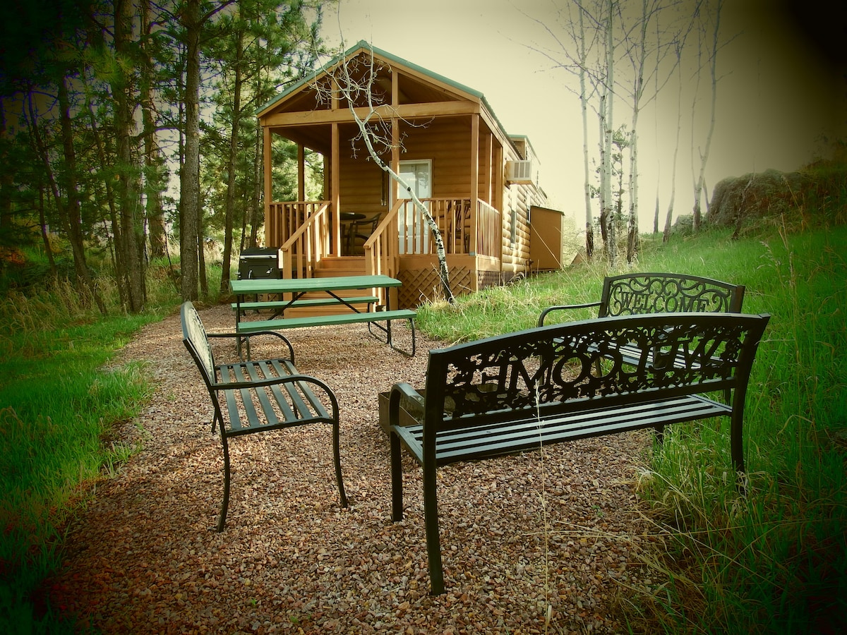 Buffalo Ridge Cabin