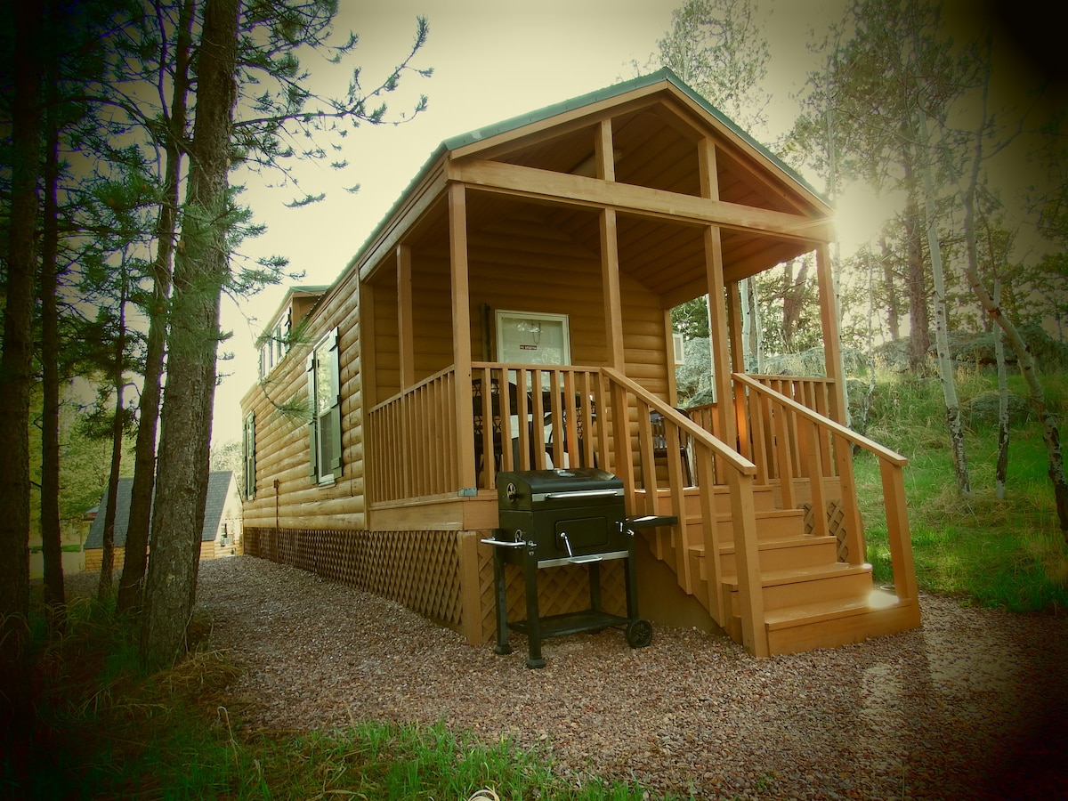Buffalo Ridge Cabin