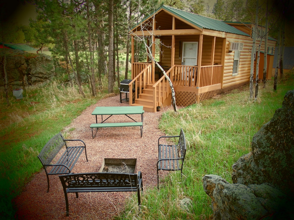 Buffalo Ridge Cabin