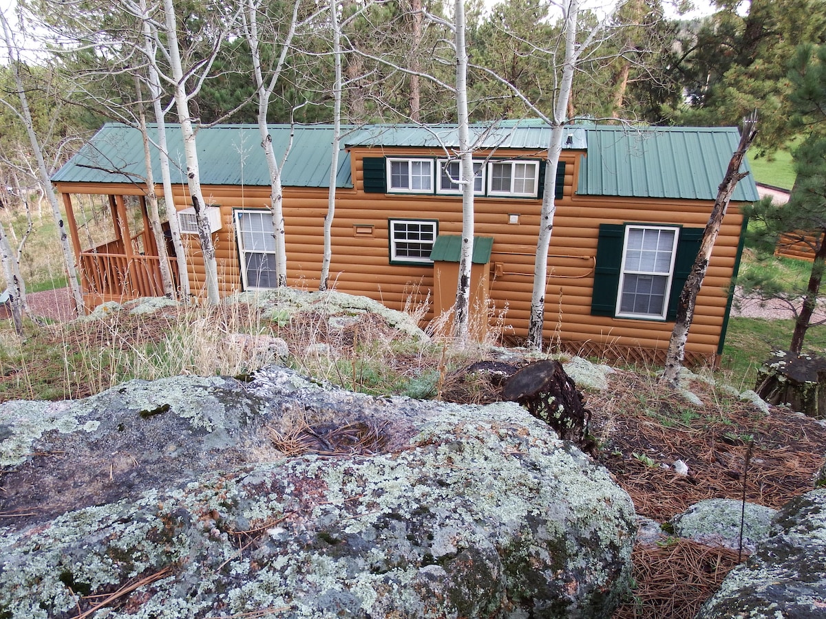 Buffalo Ridge Cabin