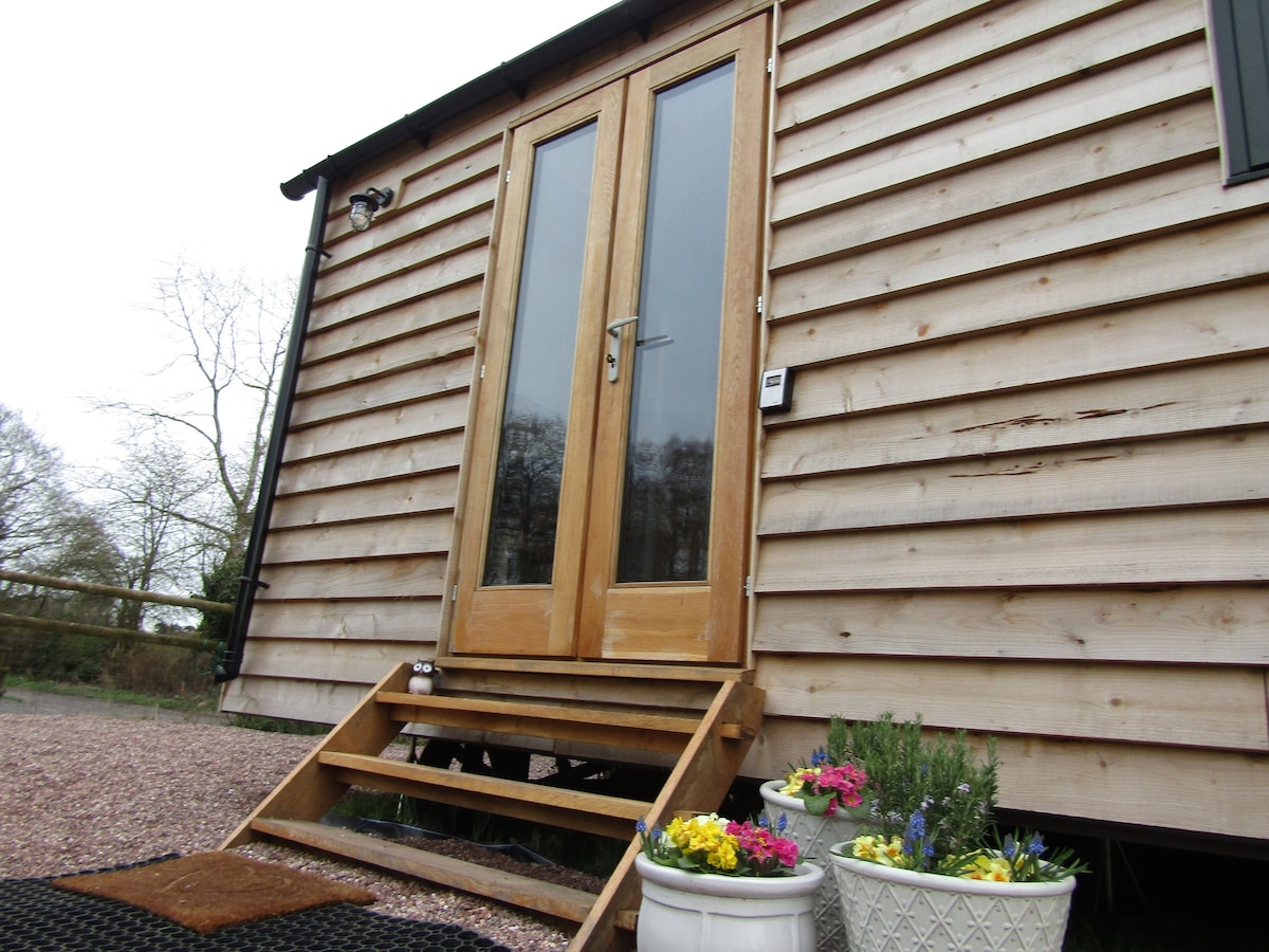 Cosy Owl - Shepherd Hut