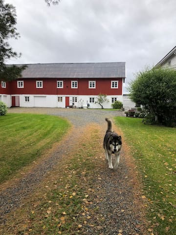 特隆赫姆(Trondheim)的民宿