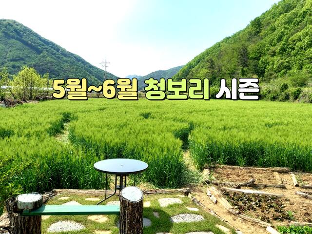 Mungyeong的民宿