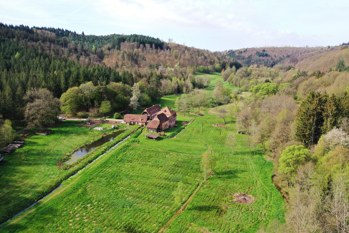 La chambre des Bûcherons - 26m²