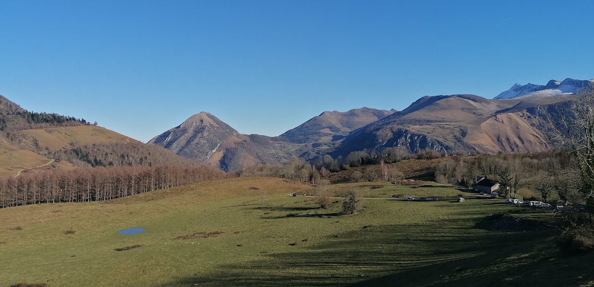 Appartement en Vallée d'Ossau