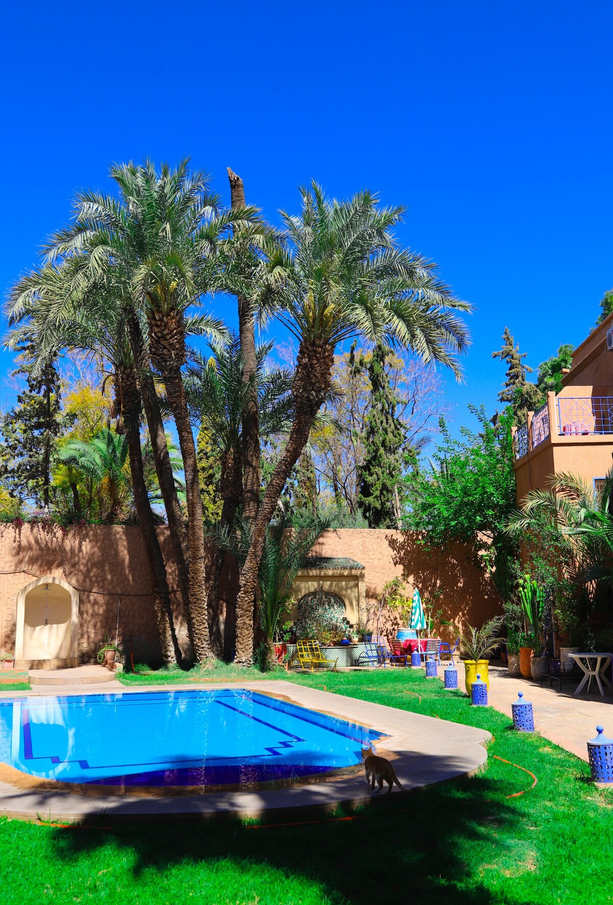 Amazing Riad with swiming pool