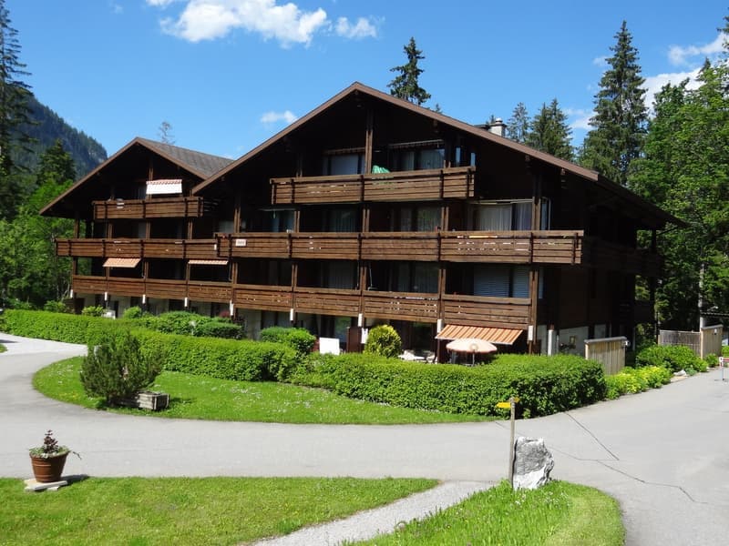 位于阿尔卑斯山度假村的大型公寓