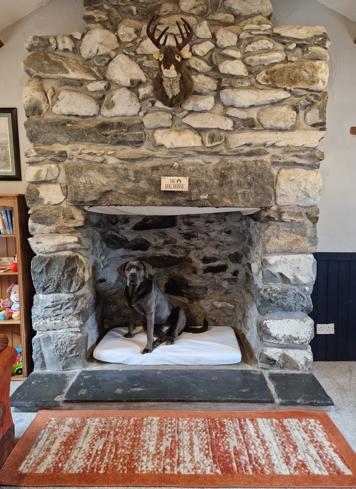 Rural cosy cottage Snowdonia, sauna, dog friendly.