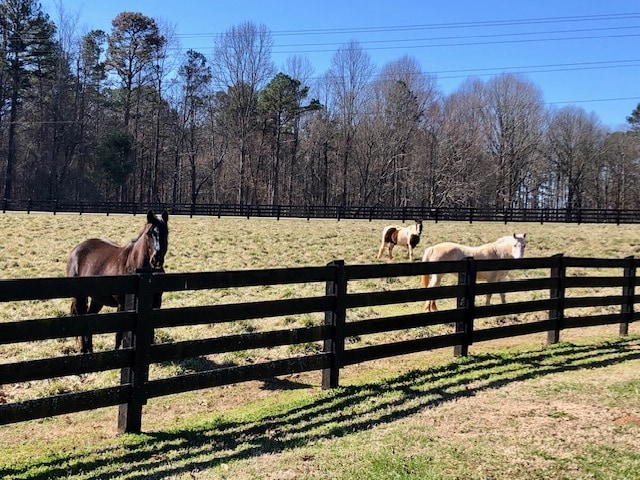 *New* peaceful apartment on horse farm.