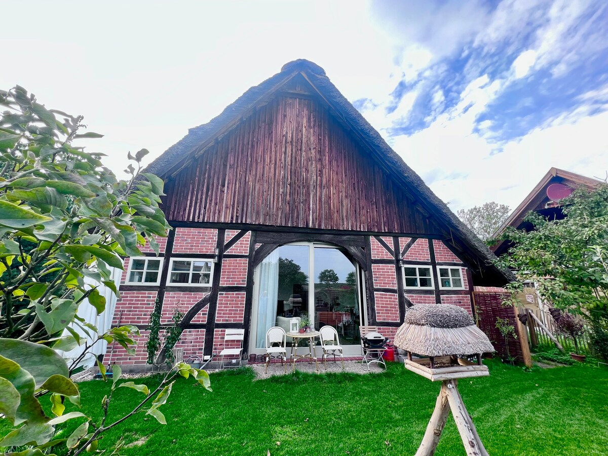 Ökol.在Nemitzer Heide附近翻修
的茅草屋顶房屋