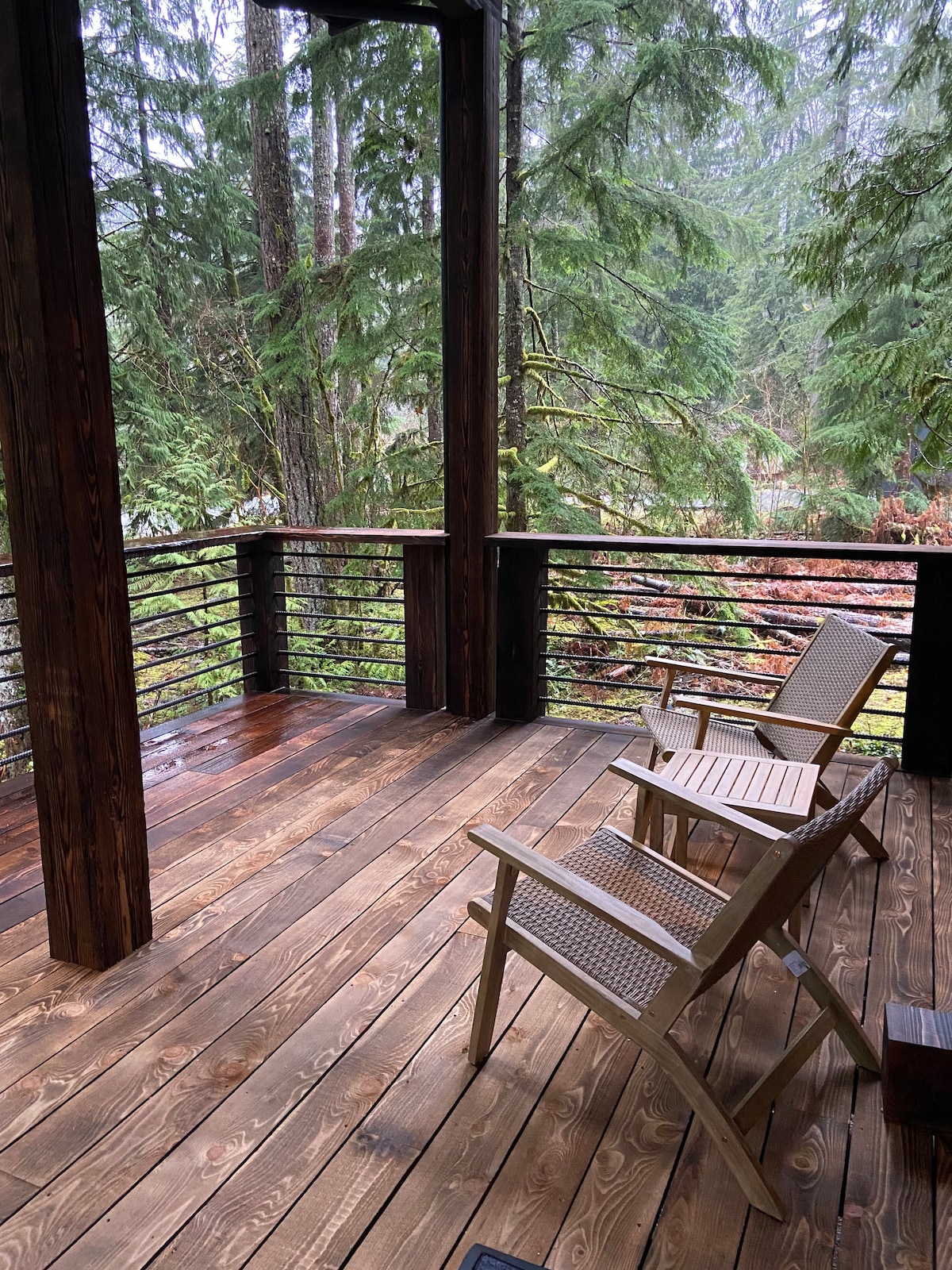 Custom Modern Cabin near Mt Baker area