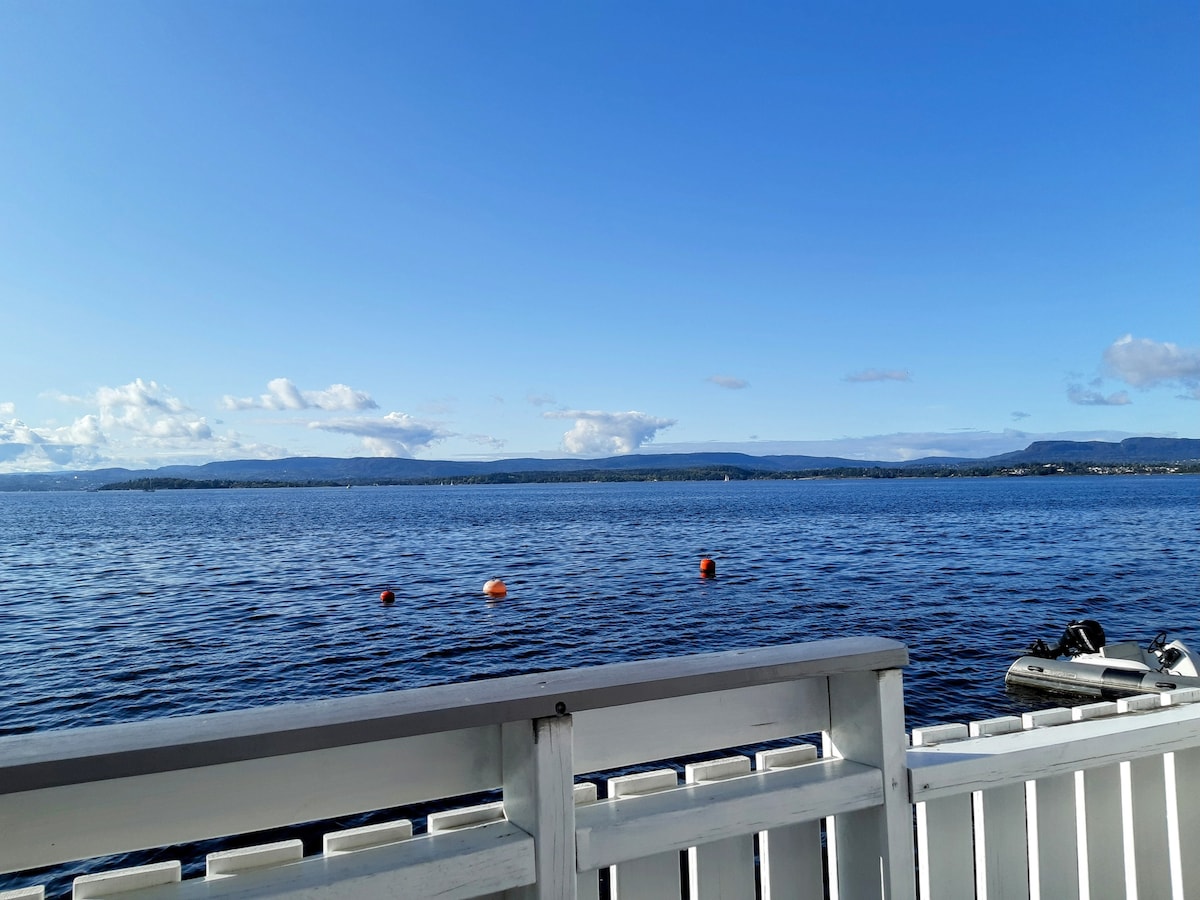 奥斯陆峡湾的独特景观，带私人海滩小屋