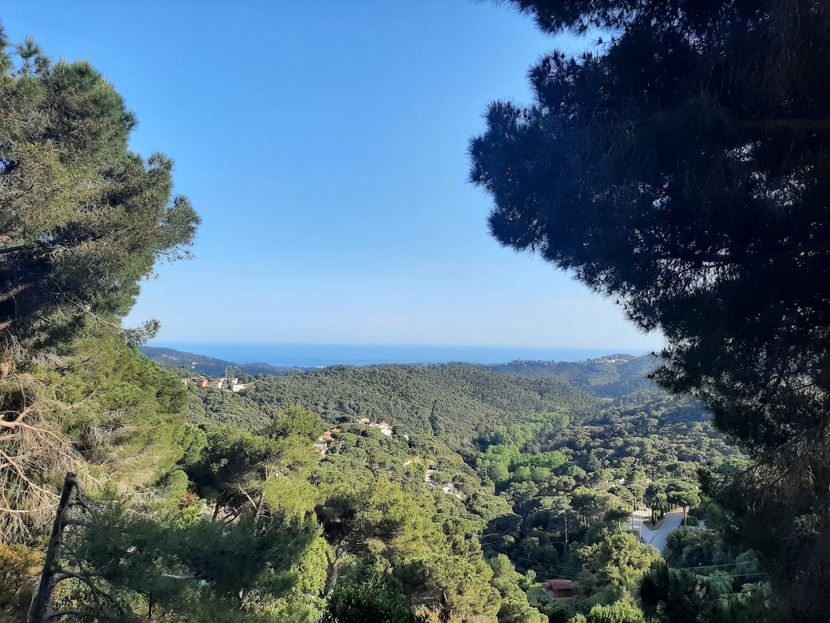 Tiny House with seaview & forest