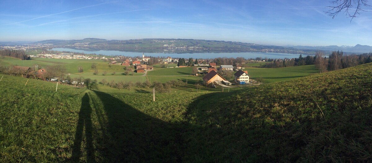 Luzern, Perl on the Sempacher lake