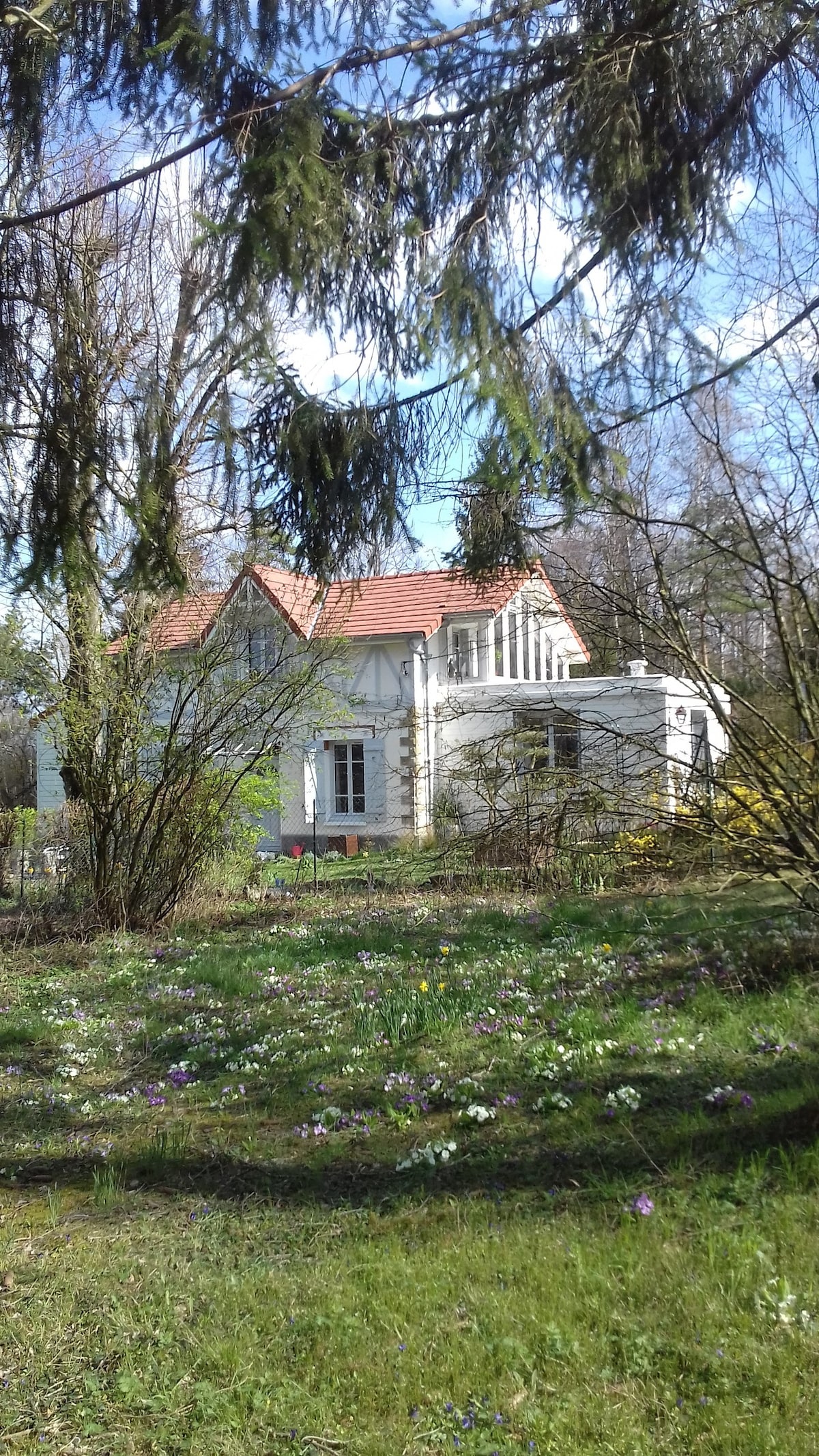 Forest House - Domaine de la Renardière