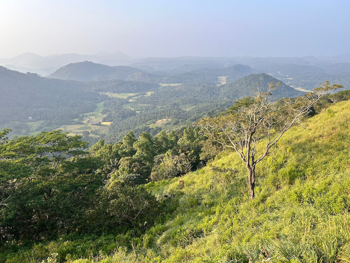 Three Creeks, Matale