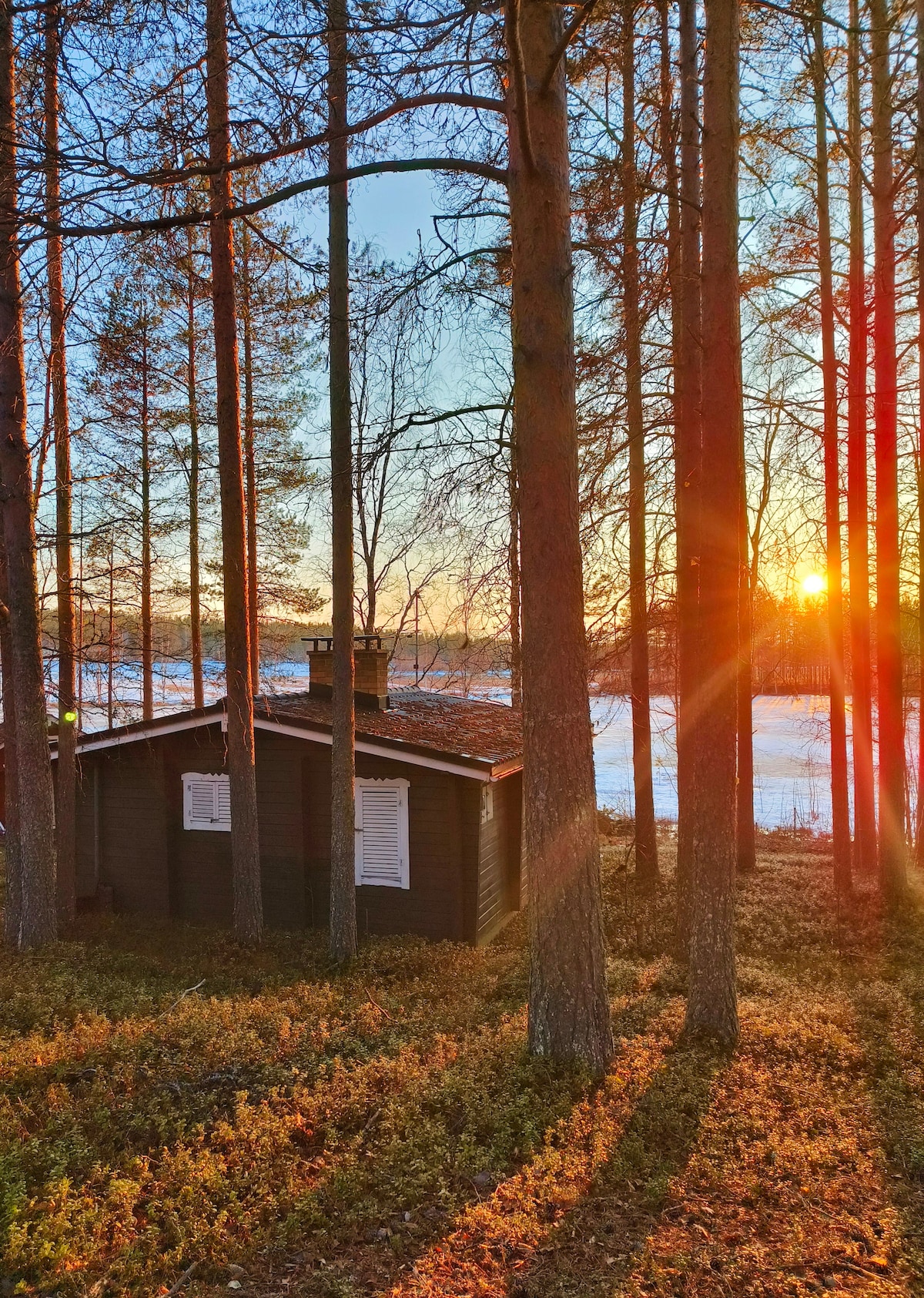 Hirsimökki pienen järven rannalla