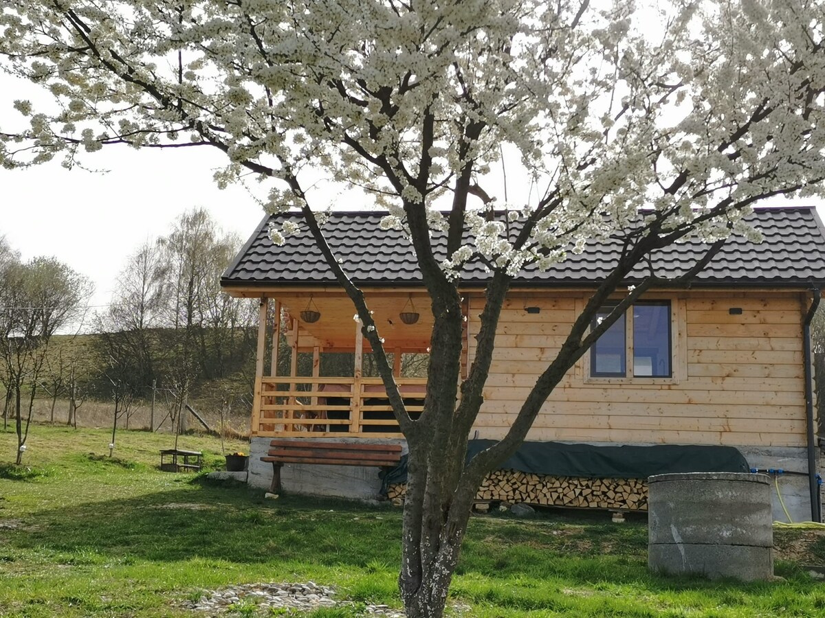 Tiny House Stefana with garden in Transylvania