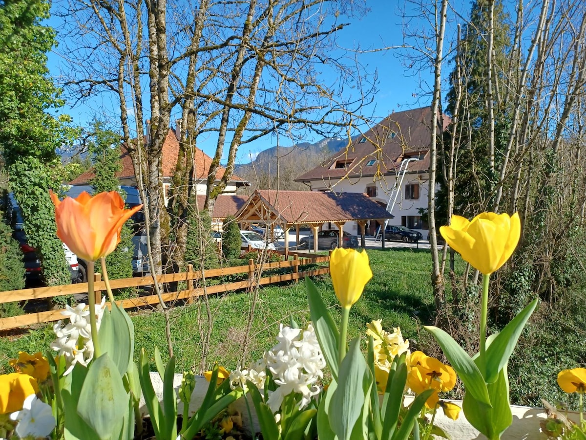 Duplex dans un ancien relais de calèche - Annecy