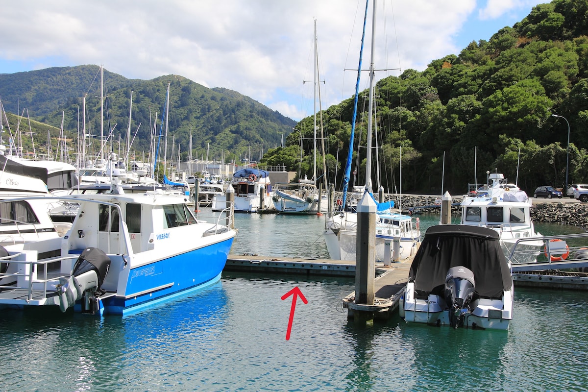 Waikawa Bach & Marina Berth