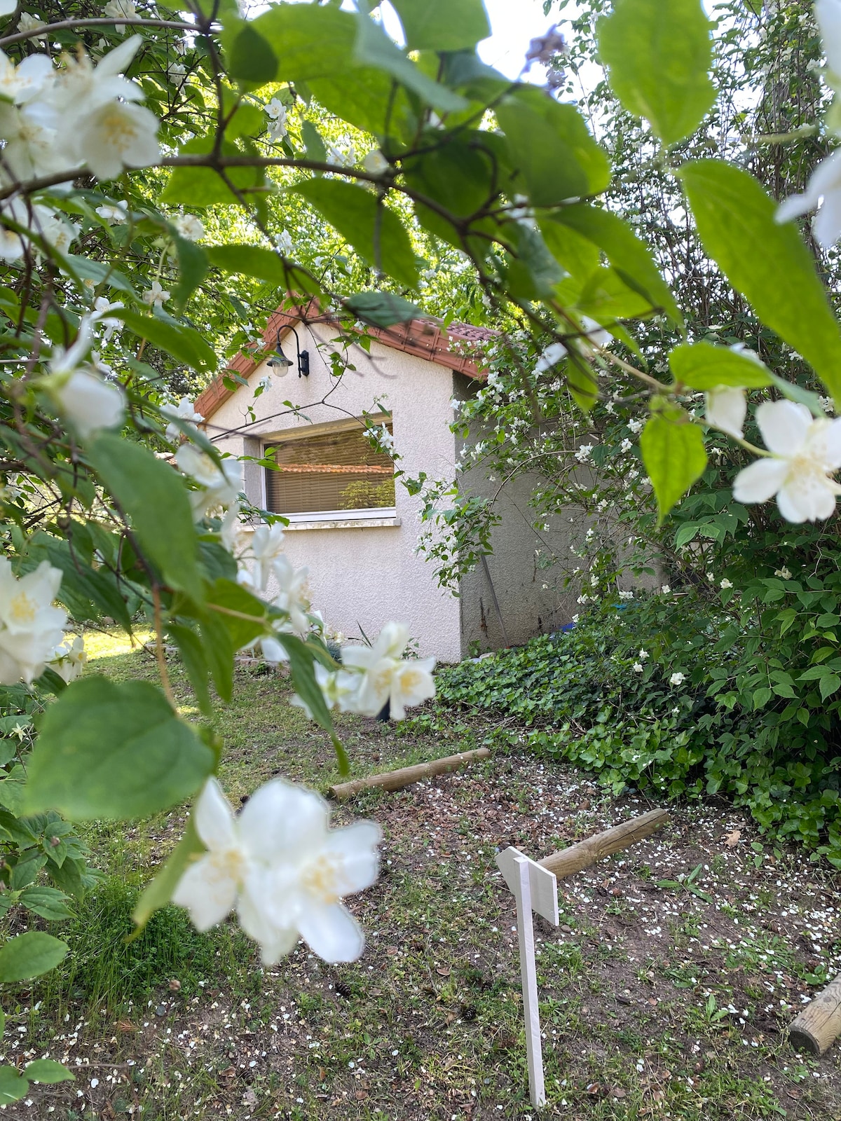 La maison au coeur des cèdres